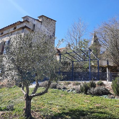 Le Pigeonnier De Felines Villa Caylus Cameră foto