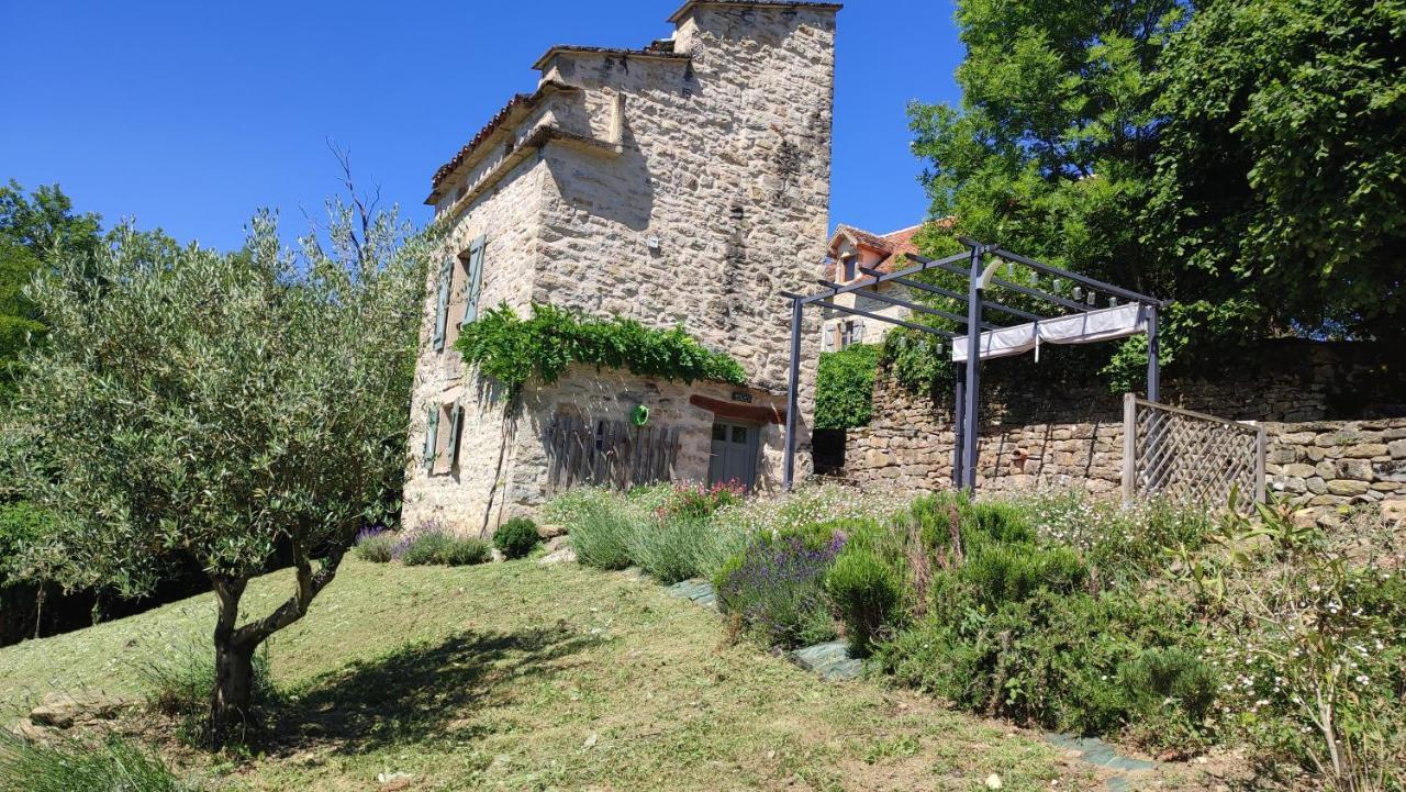 Le Pigeonnier De Felines Villa Caylus Exterior foto