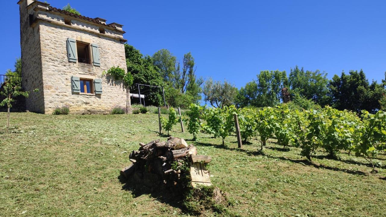 Le Pigeonnier De Felines Villa Caylus Exterior foto