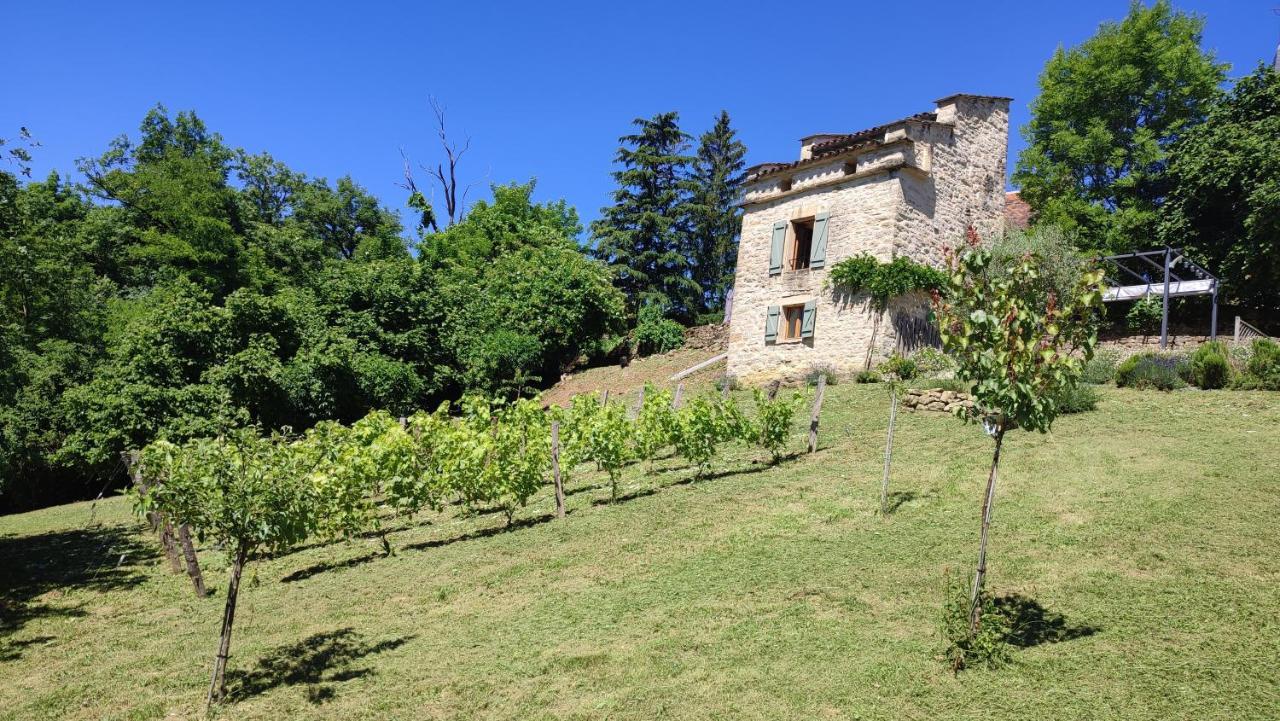 Le Pigeonnier De Felines Villa Caylus Exterior foto