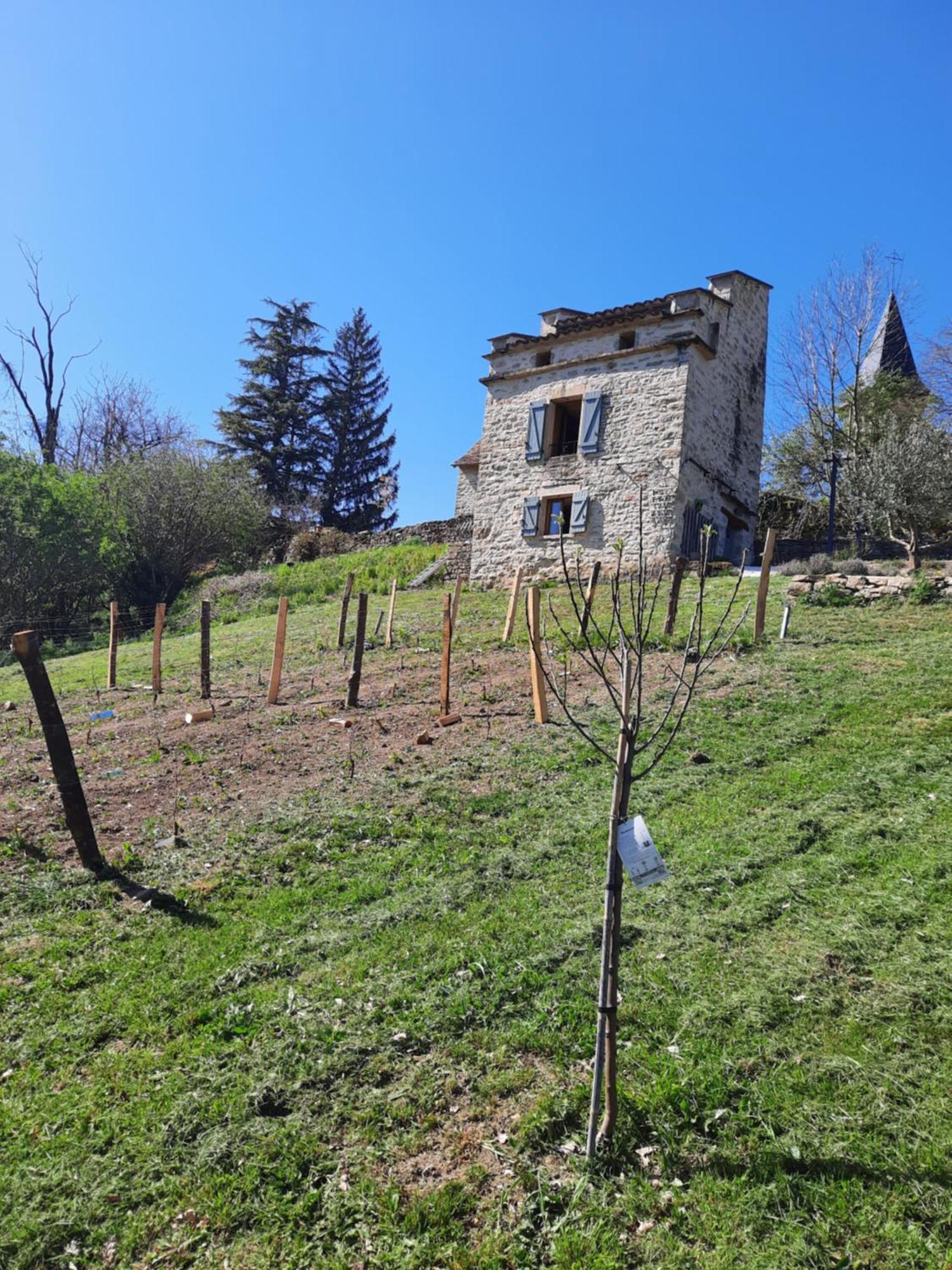 Le Pigeonnier De Felines Villa Caylus Cameră foto